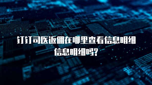 钉钉司医返佣在哪里查看信息明细信息明细吗?