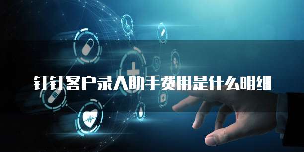 钉钉客户录入助手费用是什么明细