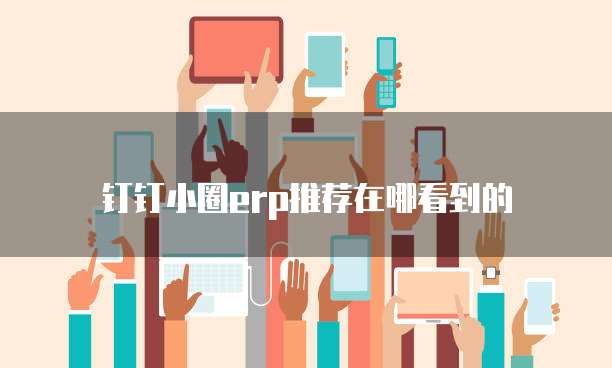 钉钉小圈erp推荐在哪看到的