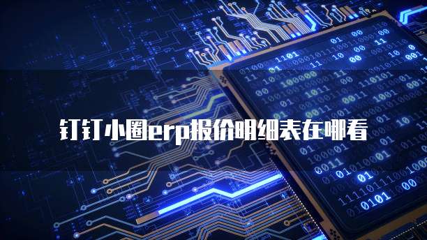 钉钉小圈erp报价明细表在哪看