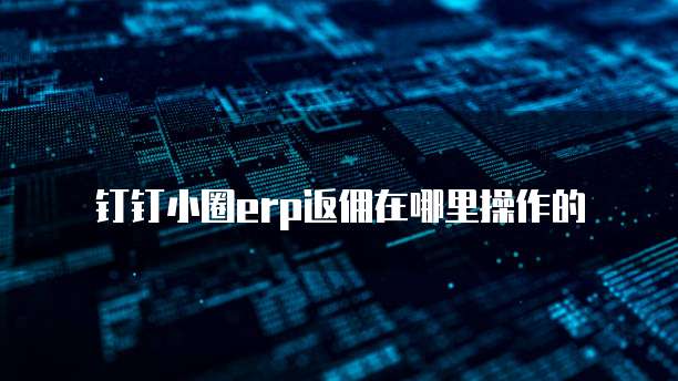 钉钉小圈erp返佣在哪里操作的