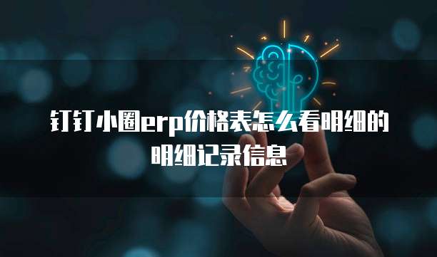 钉钉小圈ERP价格表怎么看明细的明细记录信息