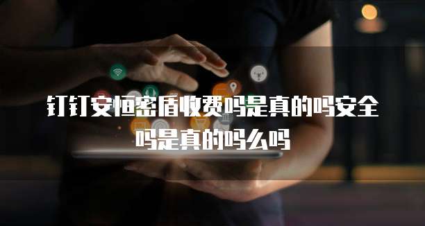 钉钉安恒密盾收费吗是真的吗安全吗是真的吗么吗