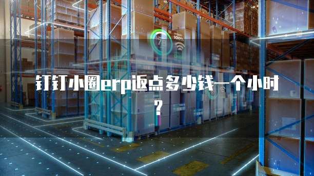 钉钉小圈erp返点多少钱一个小时?