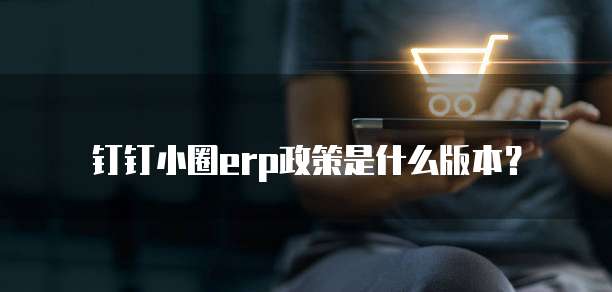 钉钉小圈erp政策是什么版本?
