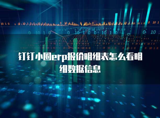 钉钉小圈erp报价明细表怎么看明细数据信息