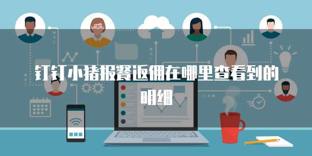 钉钉小猪报餐返佣在哪里查看到的明细