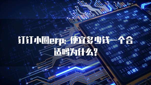 钉钉小圈erp: 便宜多少钱一个合适吗为什么?