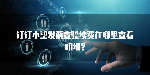 钉钉小望发票查验续费在哪里查看明细?