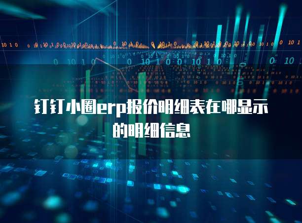 钉钉小圈erp报价明细表在哪显示的明细信息
