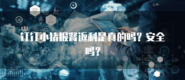 钉钉小猪报餐返利是真的吗？安全吗？