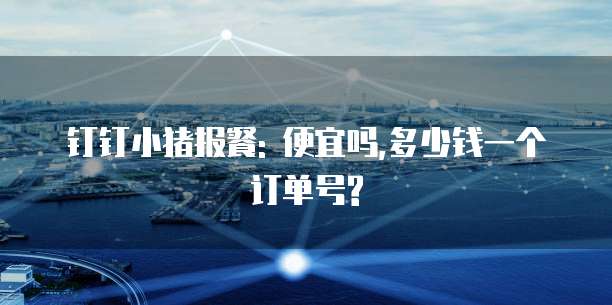 钉钉小猪报餐: 便宜吗,多少钱一个订单号?