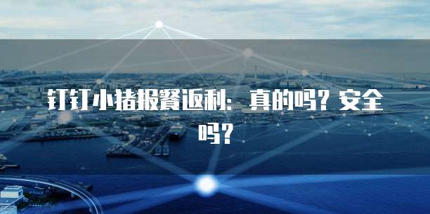 钉钉小猪报餐返利:真的吗?安全吗?