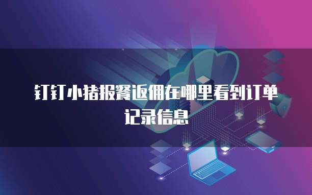 钉钉小猪报餐返佣在哪里看到订单记录信息