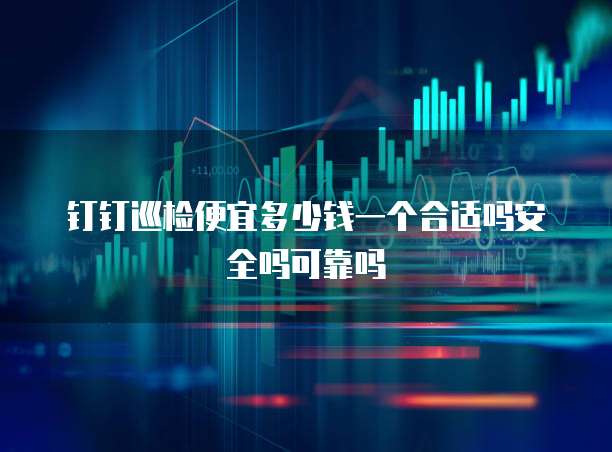 钉钉巡检便宜多少钱一个合适吗安全吗可靠吗