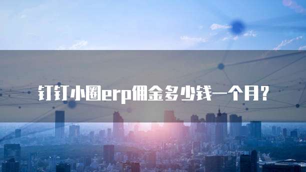 钉钉小圈erp佣金多少钱一个月?