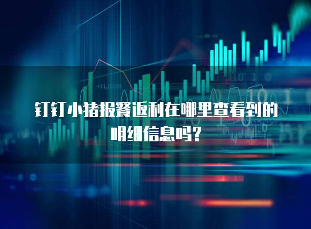 钉钉小猪报餐返利在哪里查看到的明细信息吗？