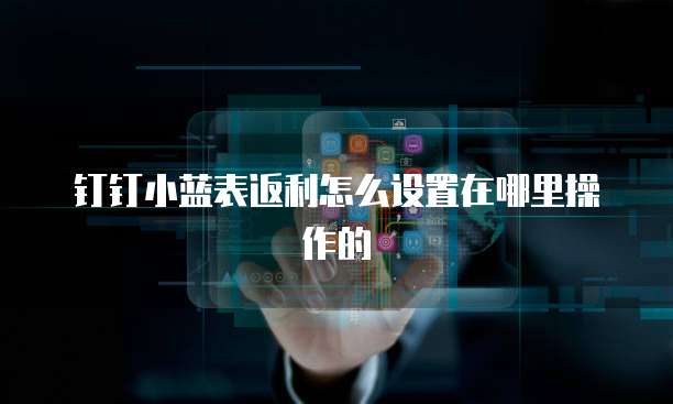 钉钉小蓝表返利怎么设置在哪里操作的