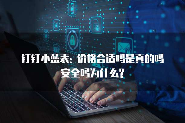 钉钉小蓝表: 价格合适吗是真的吗安全吗为什么?