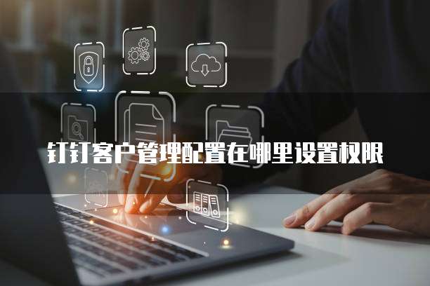 钉钉客户管理配置在哪里设置权限