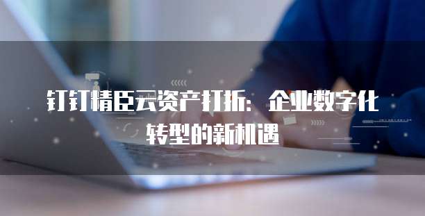 钉钉精臣云资产打折:企业数字化转型的新机遇
