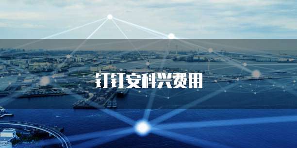 钉钉安科兴费用