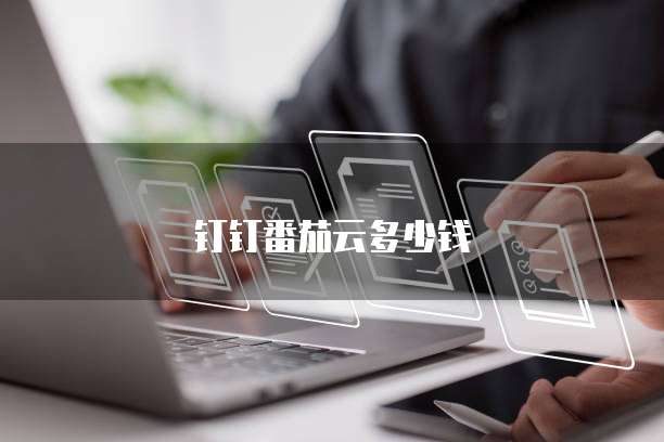 钉钉番茄云多少钱