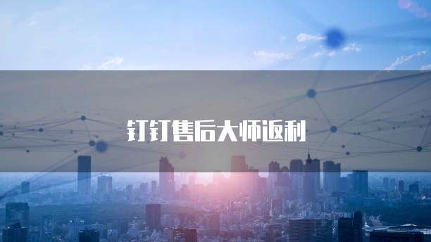 钉钉售后大师返利