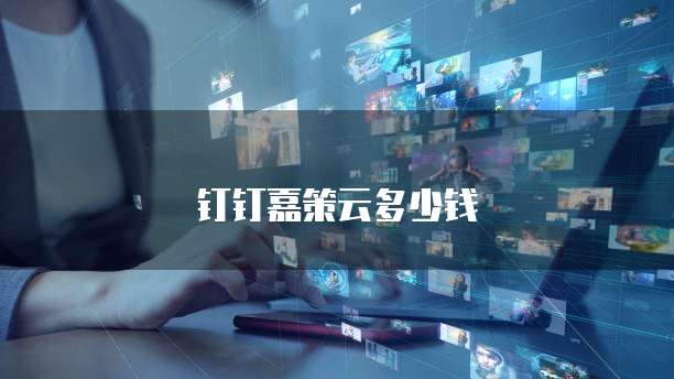 钉钉嘉策云多少钱
