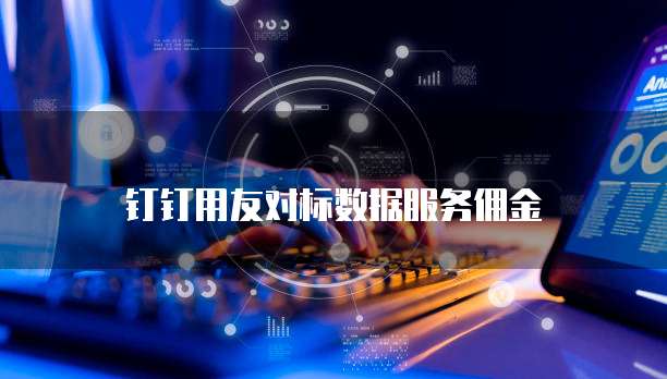 钉钉用友对标数据服务佣金