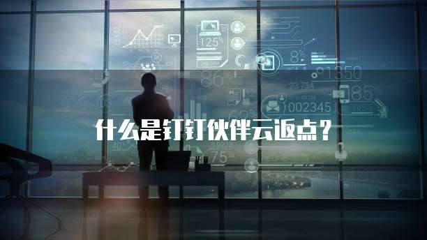 什么是钉钉伙伴云返点?