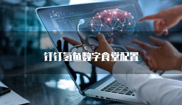 钉钉氢鱼数字食堂配置