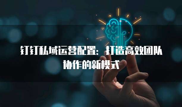 钉钉私域运营配置:打造高效团队协作的新模式