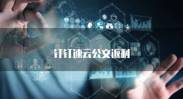 钉钉速云公文返利