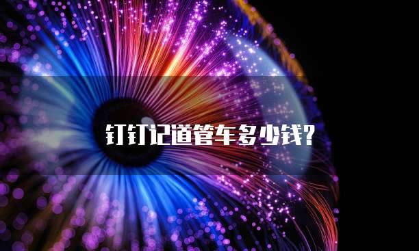 钉钉记道管车多少钱?