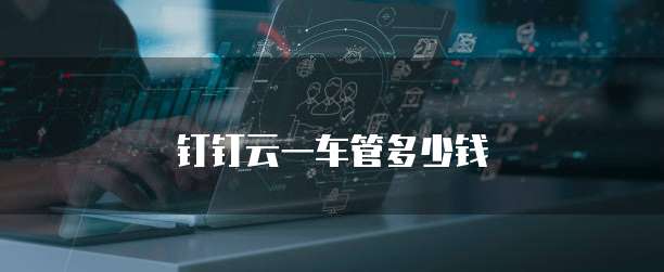 钉钉云一车管多少钱