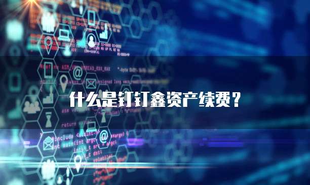 什么是钉钉鑫资产续费?