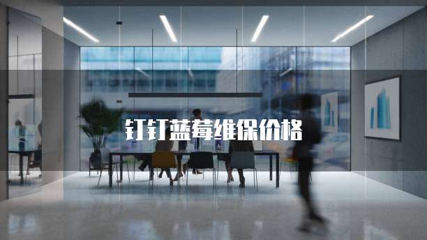 钉钉蓝莓维保价格