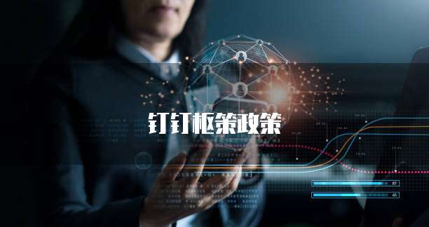 钉钉枢策政策