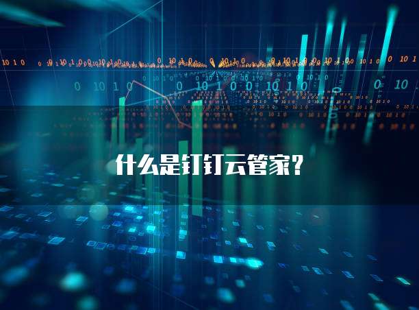 什么是钉钉云管家?