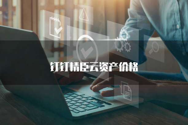 钉钉精臣云资产价格