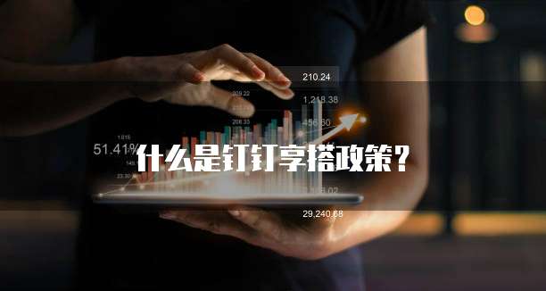 什么是钉钉享搭政策?