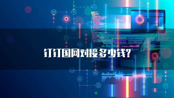 钉钉国网对接多少钱？