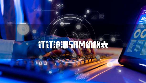 钉钉沧渊SRM价格表