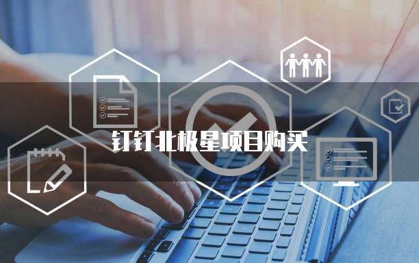 钉钉北极星项目购买