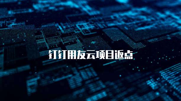 钉钉用友云项目返点