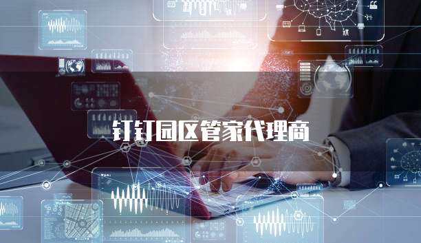 钉钉园区管家代理商