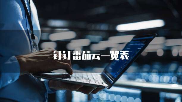 钉钉番茄云一览表
