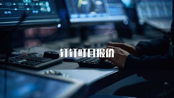 钉钉盯目报价