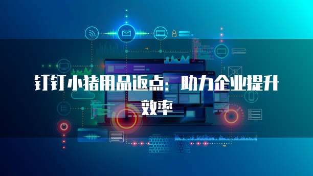 钉钉小猪用品返点：助力企业提升效率